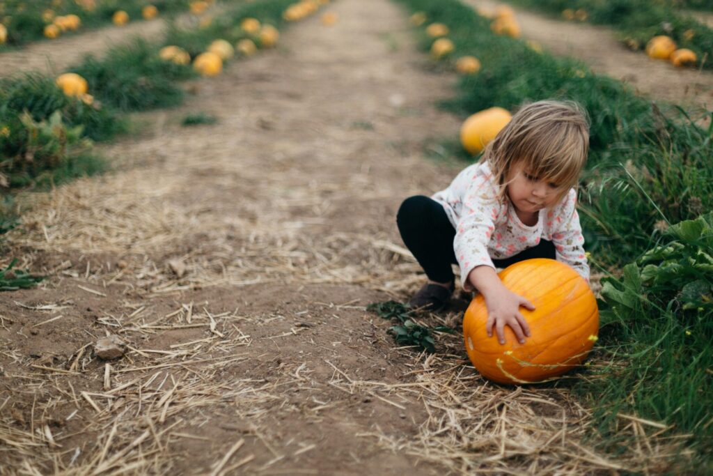 Featured image for the Petting Zoo for Kids at Mr Bones Pumpkin Patch in Culver City Blog Article